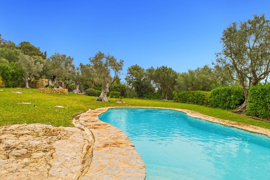SOLD – Finca Piedra – image 3