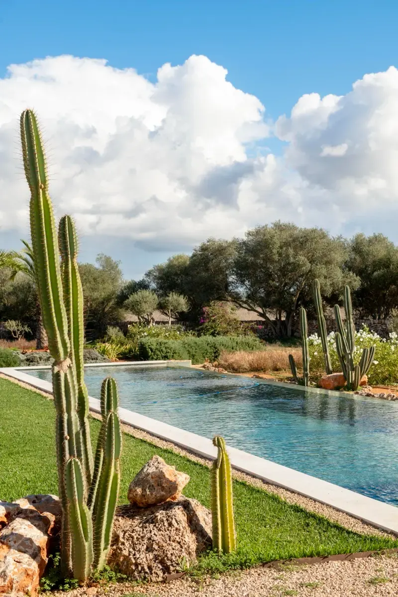 Finca Olive Tree — House in Campos, Mallorca (photo 4 of 26)