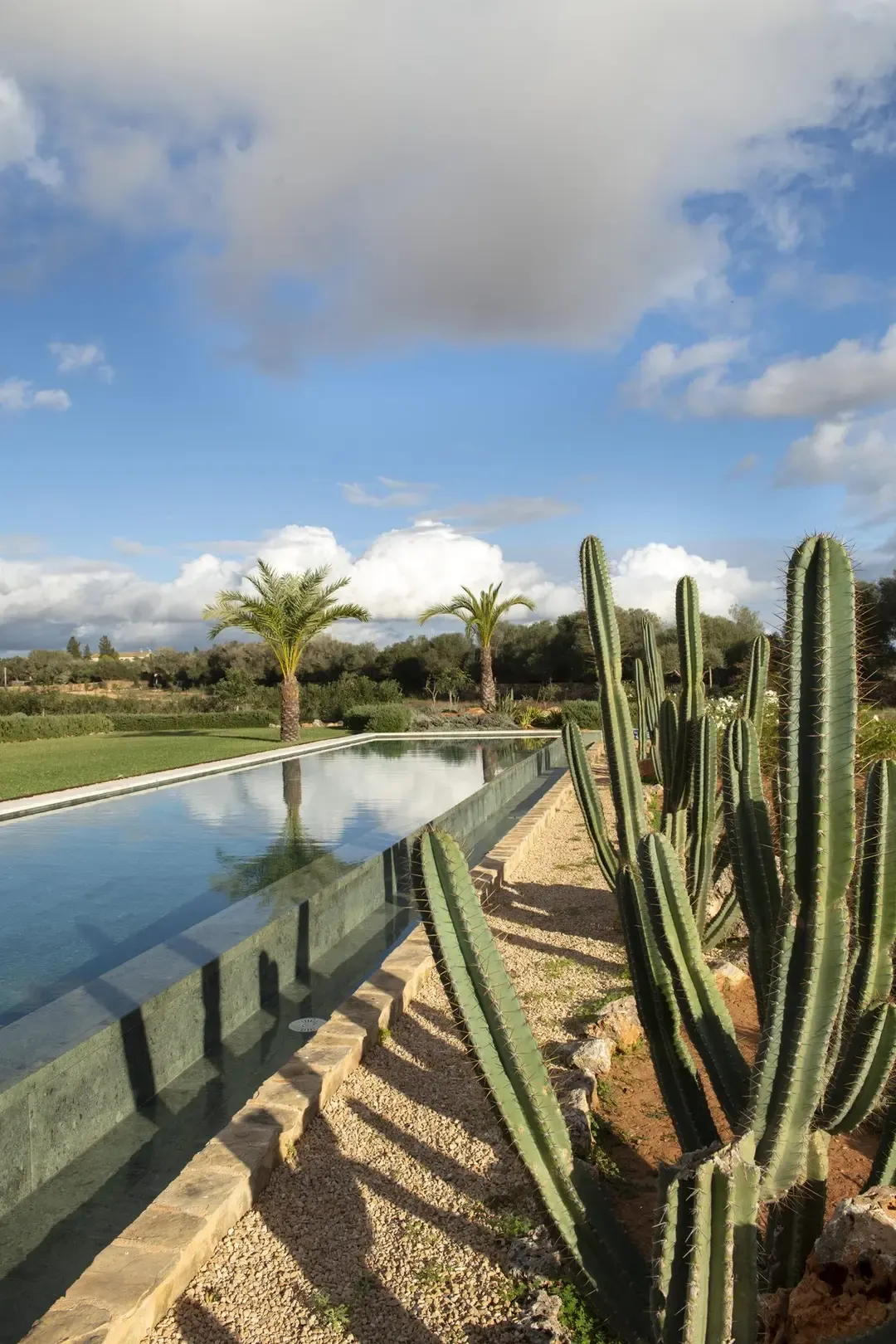 Finca Olive Tree — House in Campos, Mallorca (photo 5 of 26)