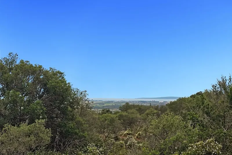 Puntiro Plot – image 1